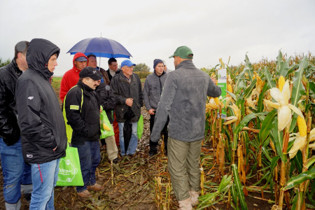 Spacer Farmera [1280x768]